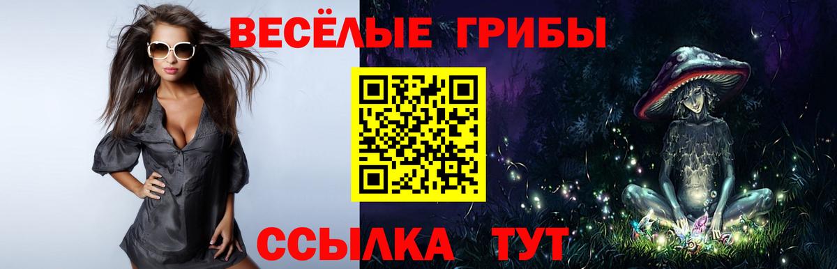 Галлюциногенные грибы Psilocybe Калининград